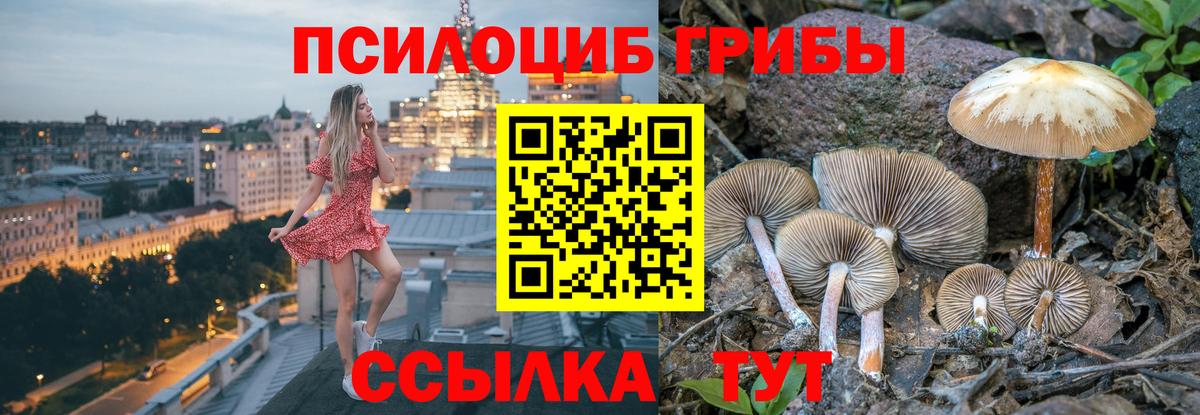 Псилоцибиновые грибы ЛСД  Вход с VPN  Старая Русса 