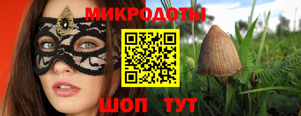 Галлюциногенные грибы мицелий Старая Русса