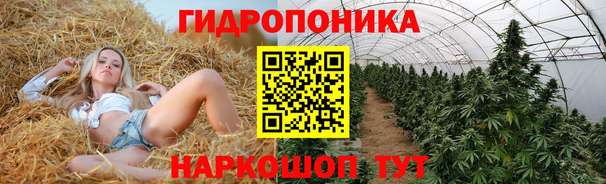 МАРИХУАНА OG Kush Старая Русса